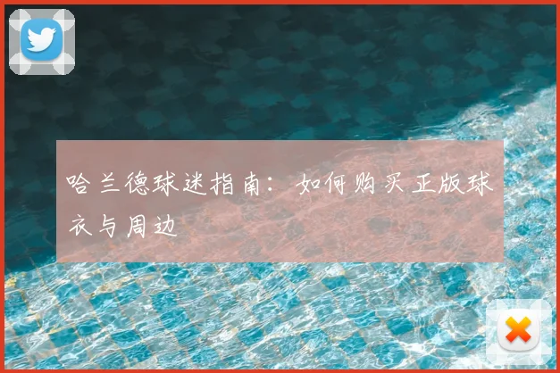 哈兰德球迷指南：如何购买正版球衣与周边