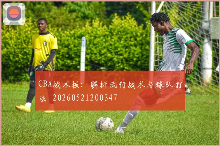 CBA战术板:解析流行战术与球队打法_20260521200347